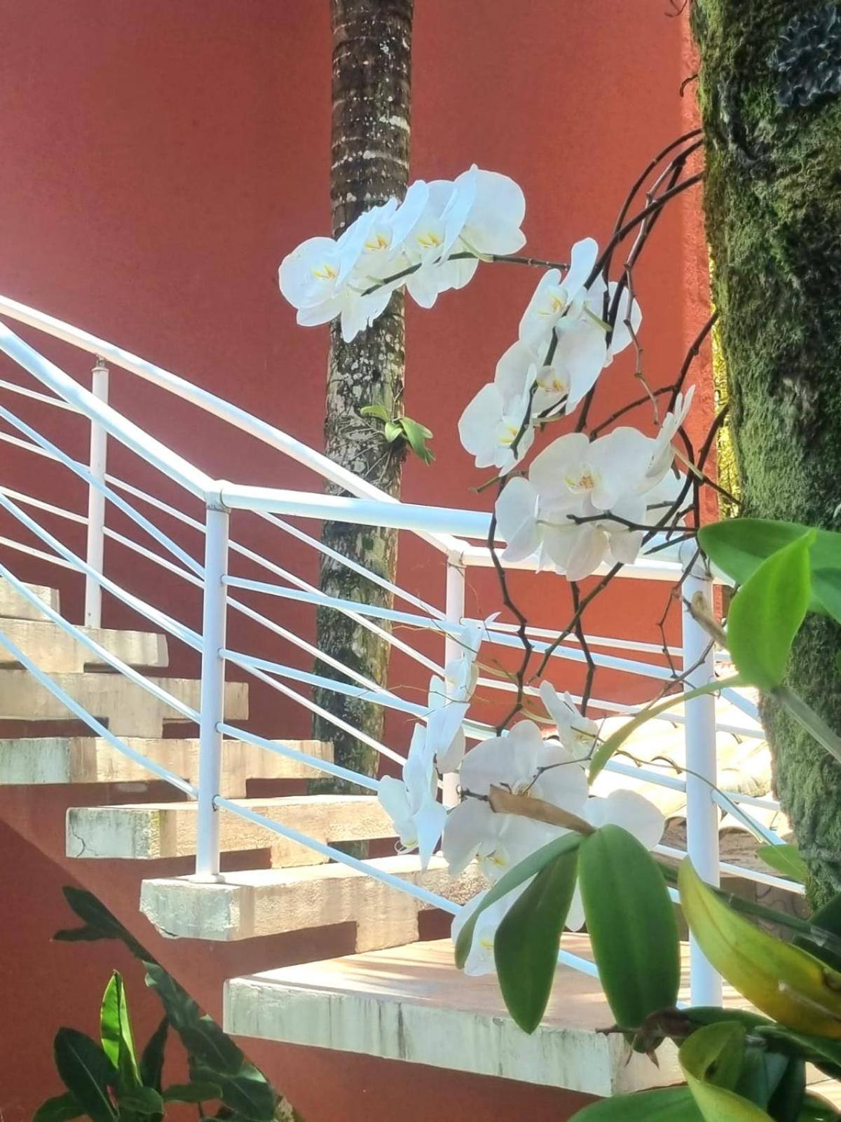 Vila Jabutis Guarujá Buitenkant foto